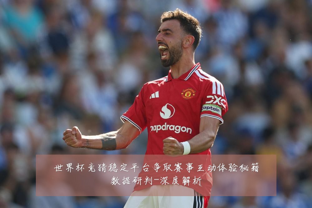 世界杯竞猜稳定平台争取赛事互动体验秘籍数据研判-深度解析